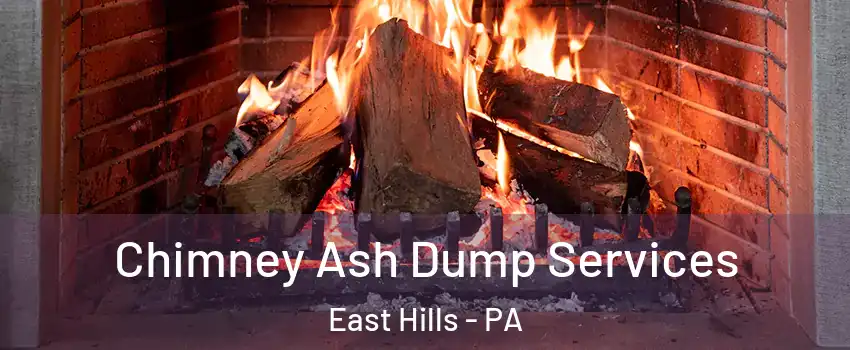 Chimney Ash Dump Services East Hills - PA