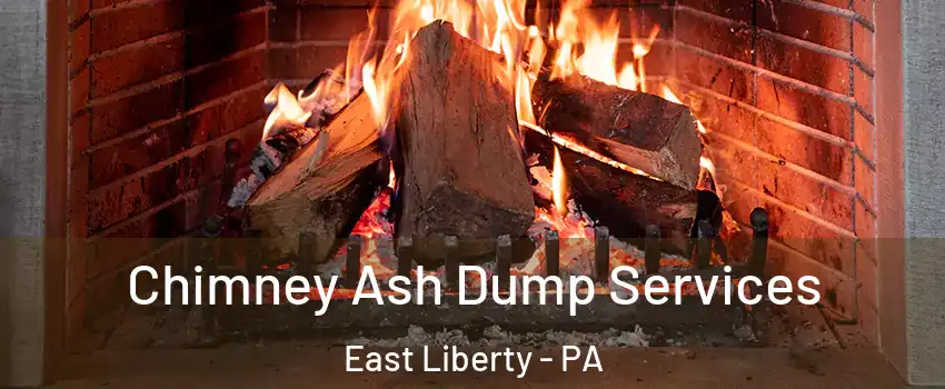 Chimney Ash Dump Services East Liberty - PA