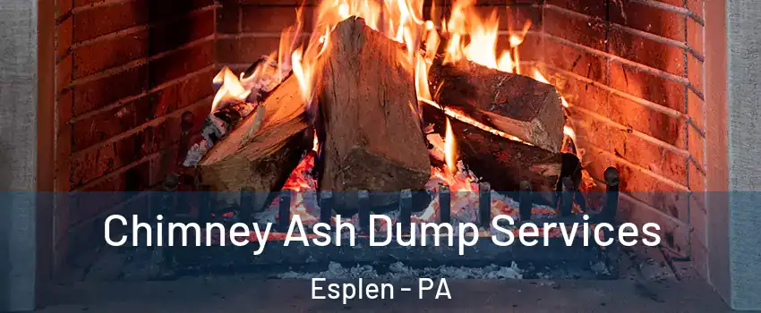 Chimney Ash Dump Services Esplen - PA