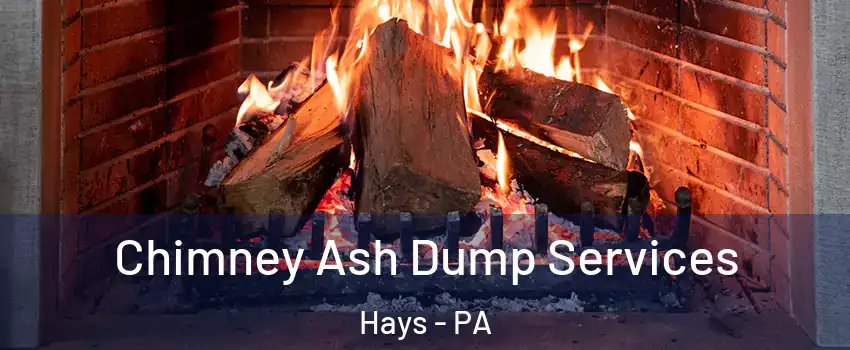 Chimney Ash Dump Services Hays - PA