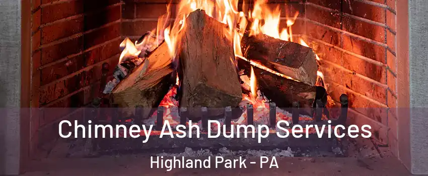 Chimney Ash Dump Services Highland Park - PA