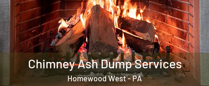 Chimney Ash Dump Services Homewood West - PA