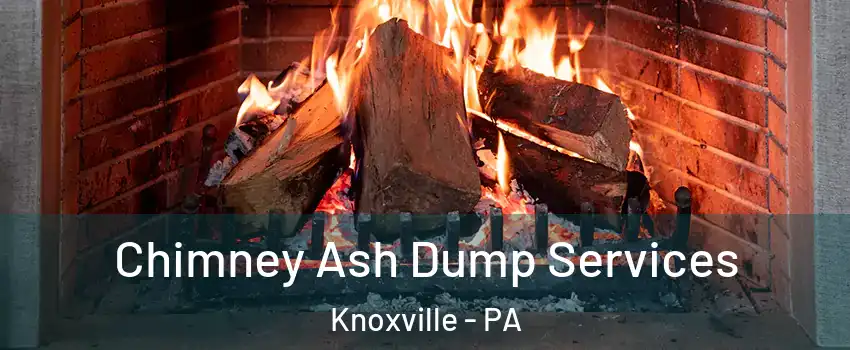 Chimney Ash Dump Services Knoxville - PA