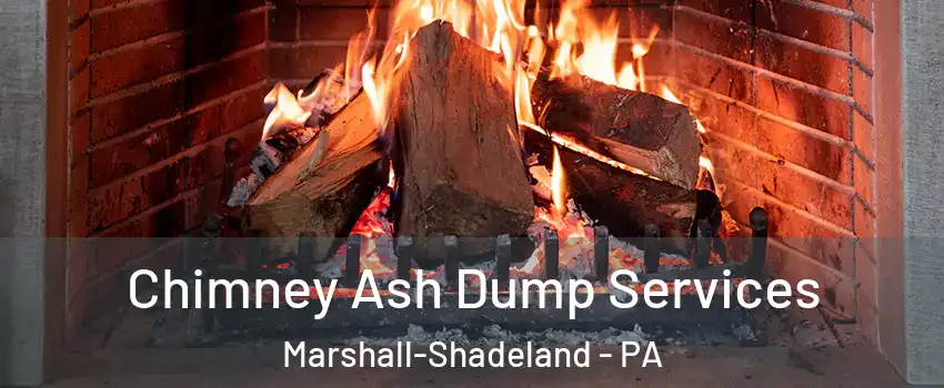 Chimney Ash Dump Services Marshall-Shadeland - PA