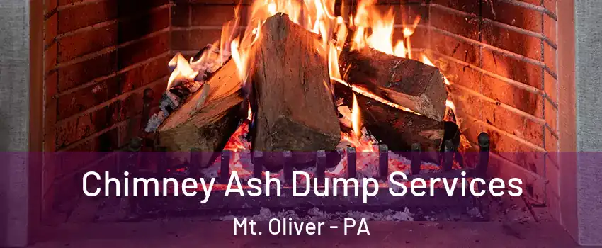 Chimney Ash Dump Services Mt. Oliver - PA