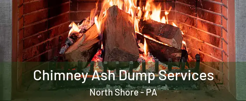 Chimney Ash Dump Services North Shore - PA