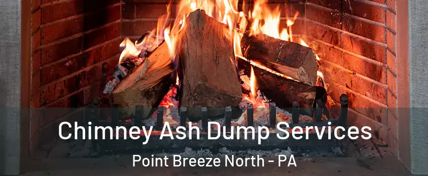 Chimney Ash Dump Services Point Breeze North - PA