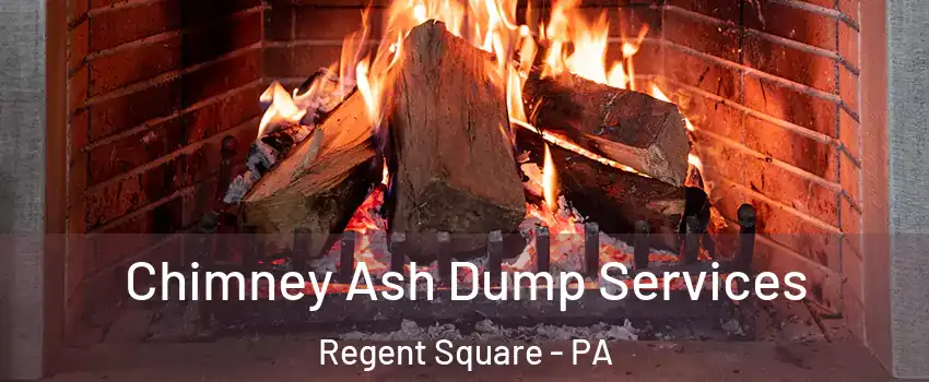 Chimney Ash Dump Services Regent Square - PA