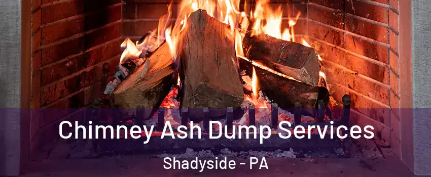 Chimney Ash Dump Services Shadyside - PA