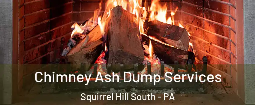 Chimney Ash Dump Services Squirrel Hill South - PA