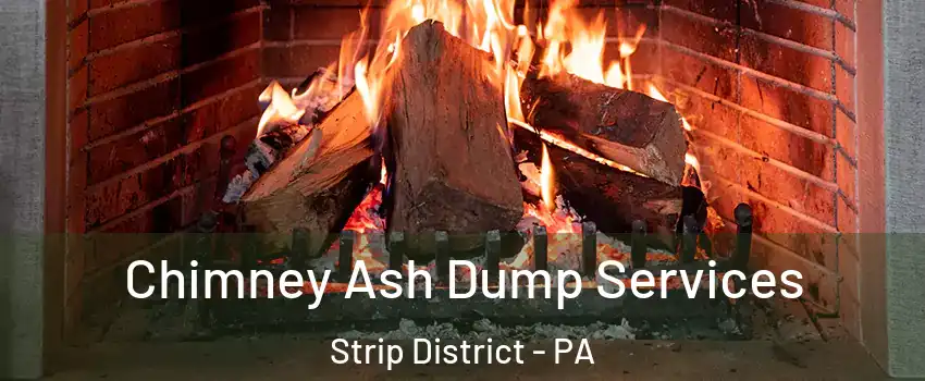 Chimney Ash Dump Services Strip District - PA