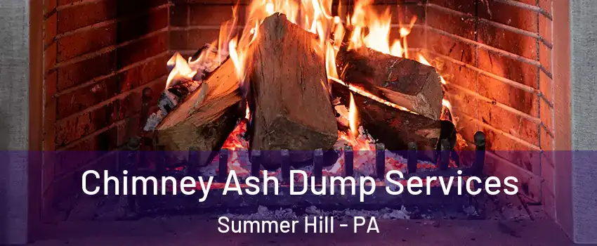 Chimney Ash Dump Services Summer Hill - PA