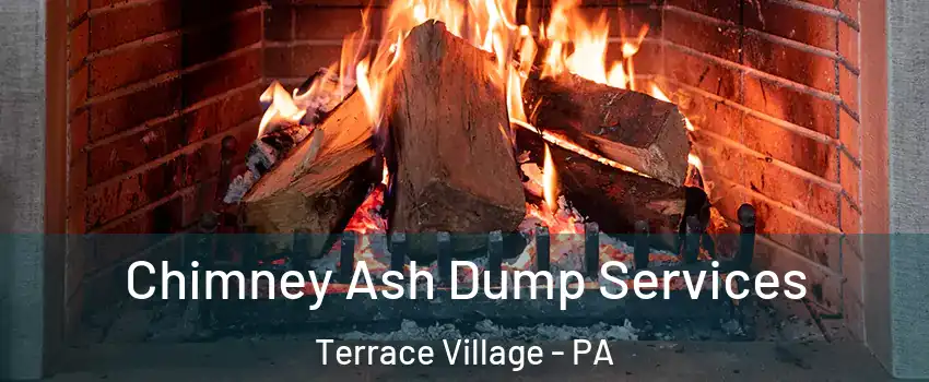 Chimney Ash Dump Services Terrace Village - PA