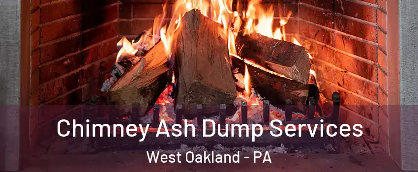 Chimney Ash Dump Services West Oakland - PA