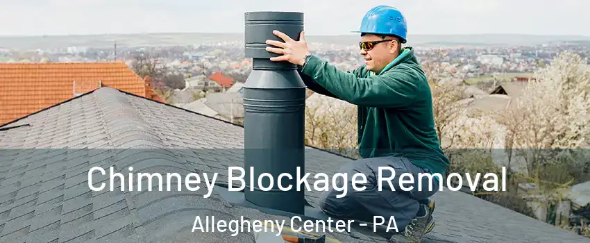 Chimney Blockage Removal Allegheny Center - PA