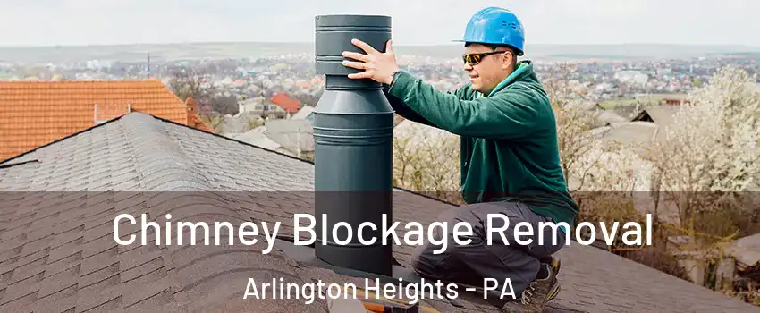Chimney Blockage Removal Arlington Heights - PA