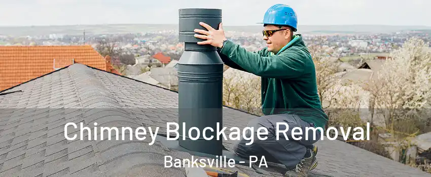 Chimney Blockage Removal Banksville - PA