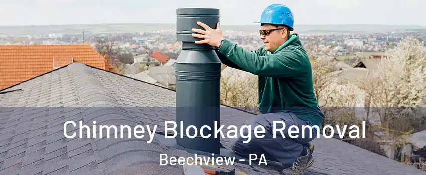 Chimney Blockage Removal Beechview - PA