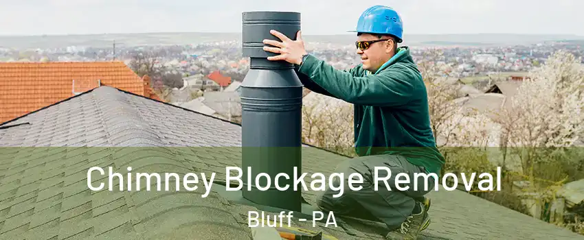 Chimney Blockage Removal Bluff - PA