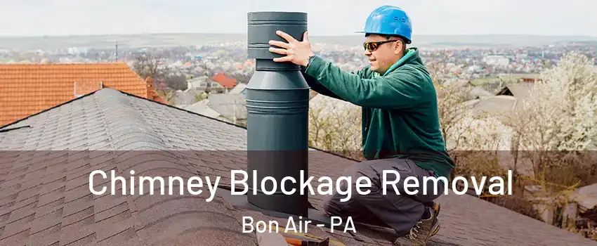 Chimney Blockage Removal Bon Air - PA