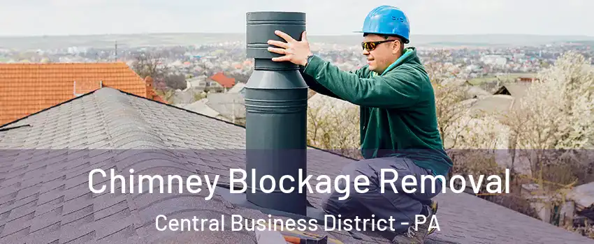 Chimney Blockage Removal Central Business District - PA