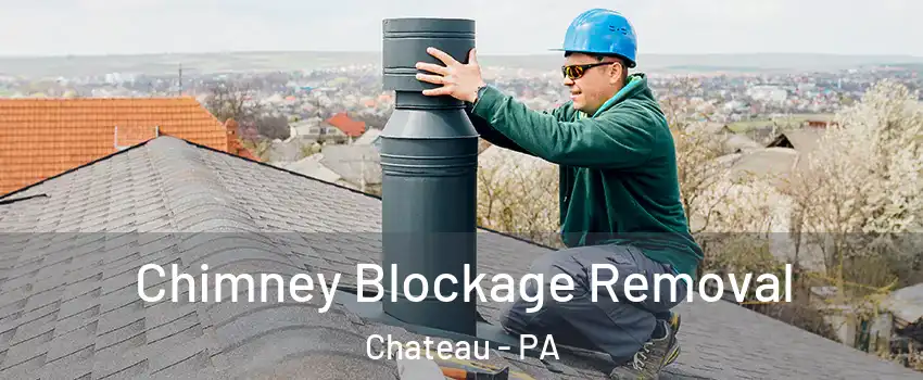 Chimney Blockage Removal Chateau - PA