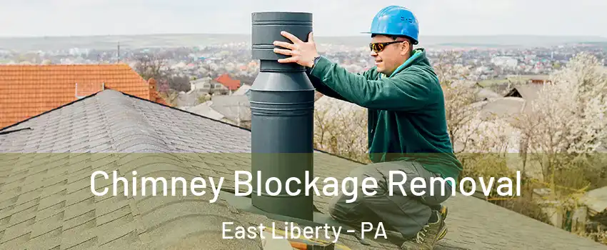 Chimney Blockage Removal East Liberty - PA