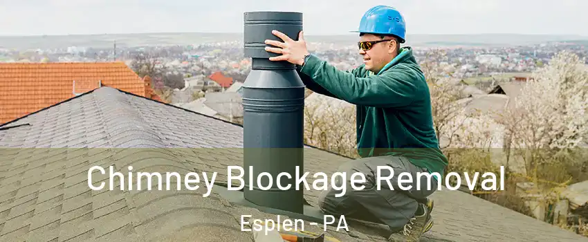 Chimney Blockage Removal Esplen - PA