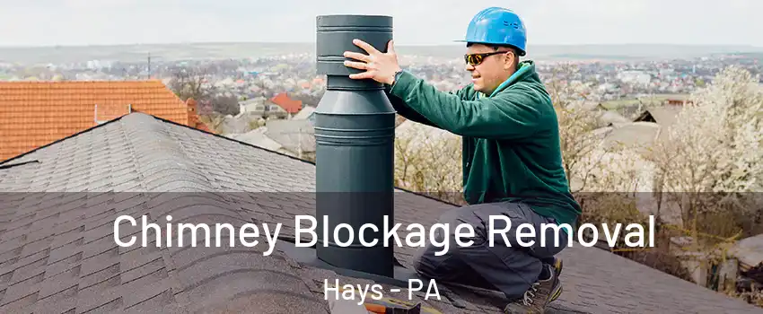 Chimney Blockage Removal Hays - PA
