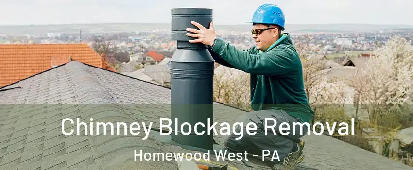Chimney Blockage Removal Homewood West - PA