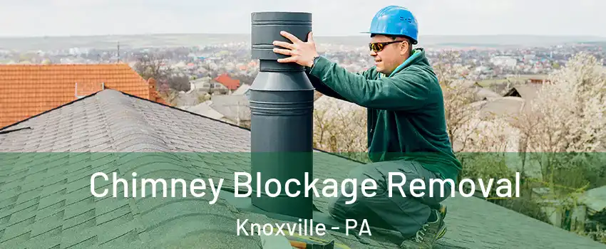 Chimney Blockage Removal Knoxville - PA