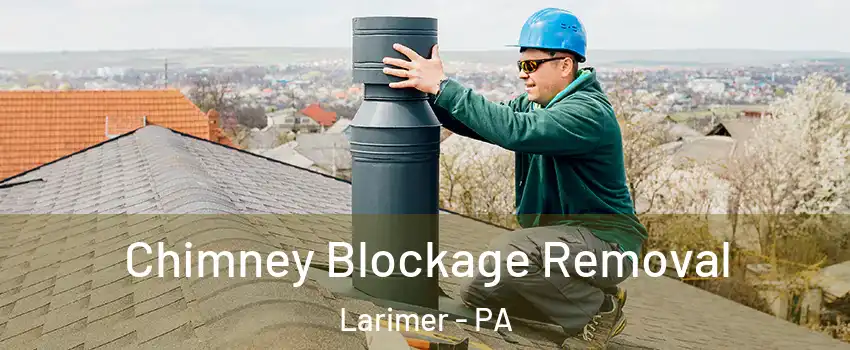 Chimney Blockage Removal Larimer - PA