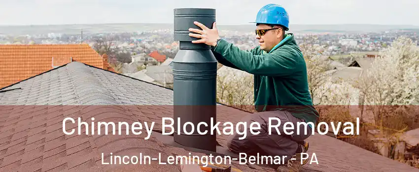 Chimney Blockage Removal Lincoln-Lemington-Belmar - PA