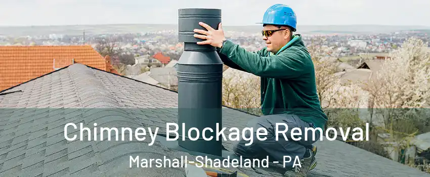 Chimney Blockage Removal Marshall-Shadeland - PA