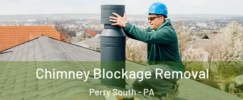 Chimney Blockage Removal Perry South - PA