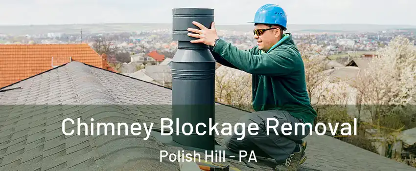 Chimney Blockage Removal Polish Hill - PA