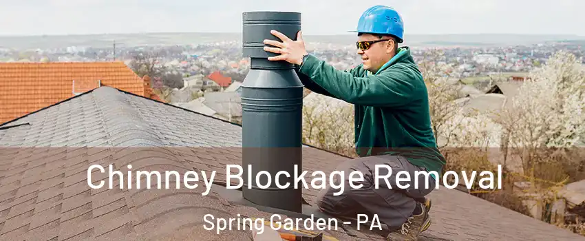 Chimney Blockage Removal Spring Garden - PA