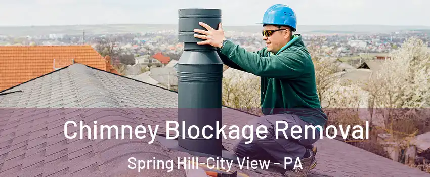 Chimney Blockage Removal Spring Hill-City View - PA