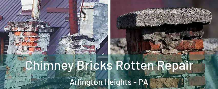 Chimney Bricks Rotten Repair Arlington Heights - PA