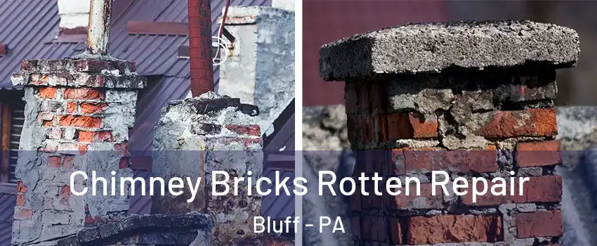 Chimney Bricks Rotten Repair Bluff - PA