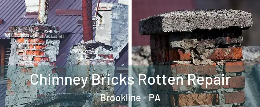 Chimney Bricks Rotten Repair Brookline - PA