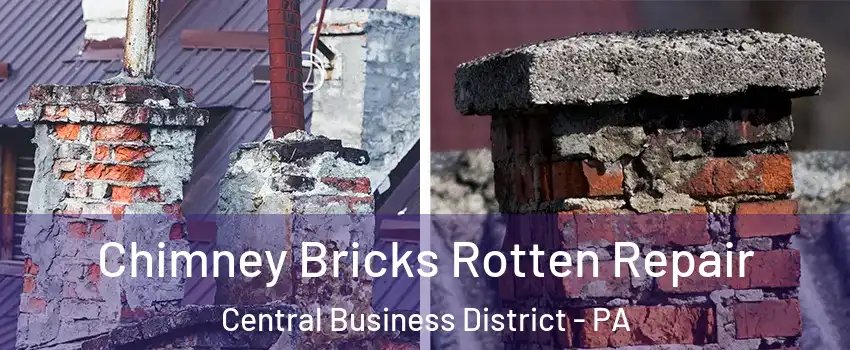 Chimney Bricks Rotten Repair Central Business District - PA