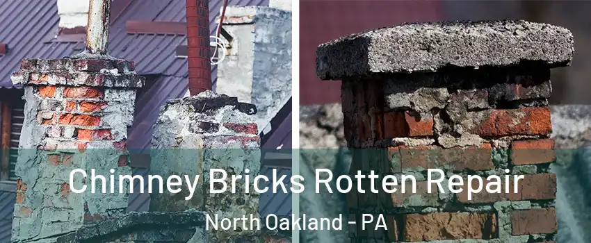Chimney Bricks Rotten Repair North Oakland - PA