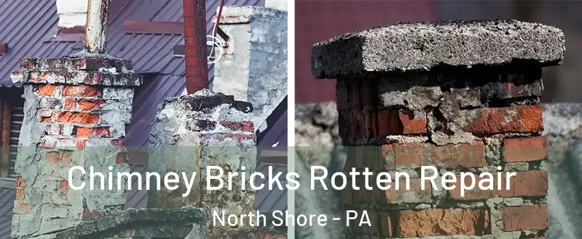 Chimney Bricks Rotten Repair North Shore - PA
