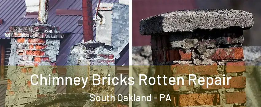 Chimney Bricks Rotten Repair South Oakland - PA