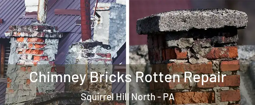 Chimney Bricks Rotten Repair Squirrel Hill North - PA