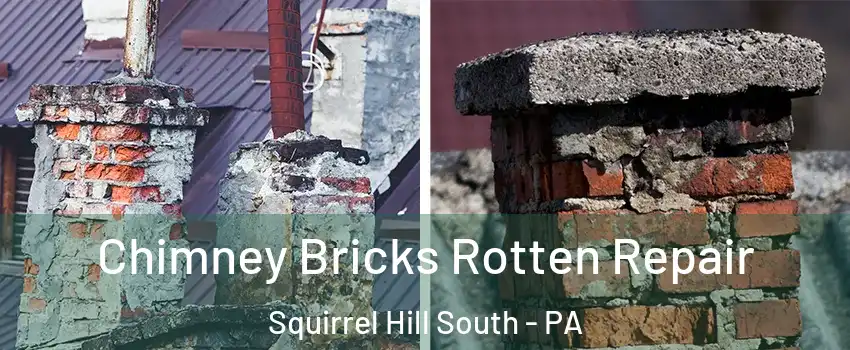 Chimney Bricks Rotten Repair Squirrel Hill South - PA