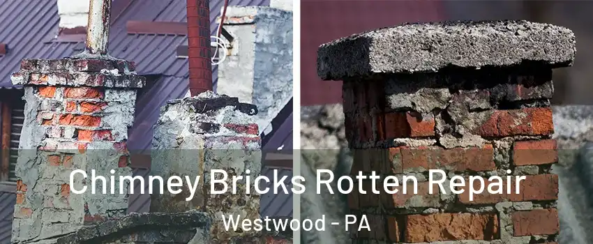Chimney Bricks Rotten Repair Westwood - PA