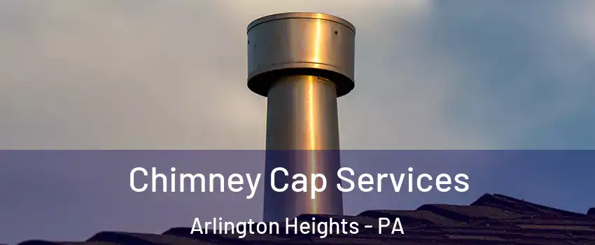 Chimney Cap Services Arlington Heights - PA