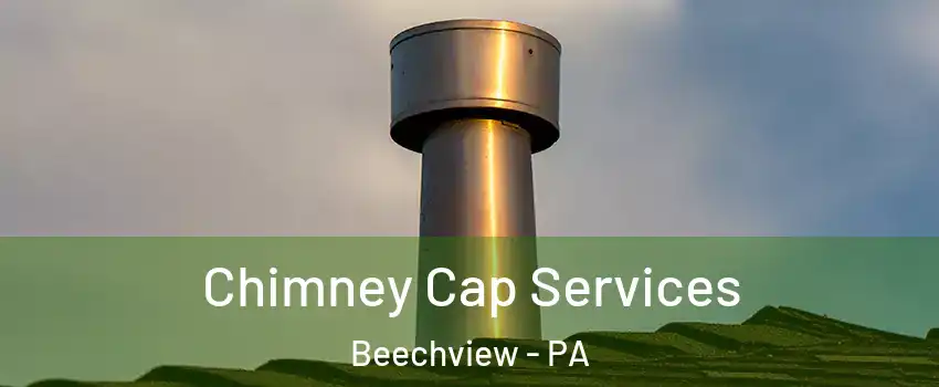 Chimney Cap Services Beechview - PA